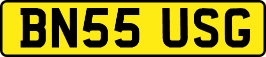 BN55USG