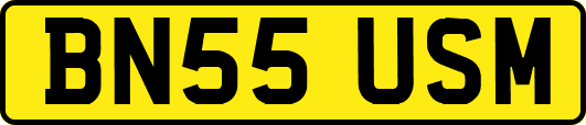 BN55USM