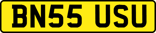 BN55USU