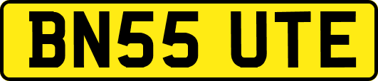BN55UTE
