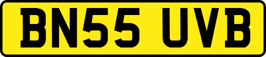 BN55UVB