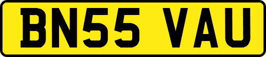 BN55VAU