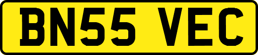 BN55VEC