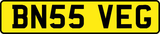 BN55VEG