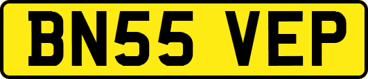 BN55VEP