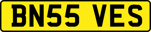 BN55VES