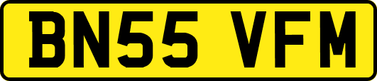 BN55VFM