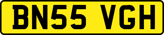 BN55VGH