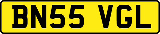 BN55VGL