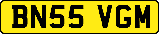 BN55VGM
