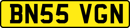 BN55VGN
