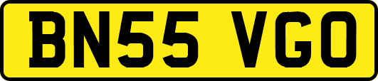 BN55VGO