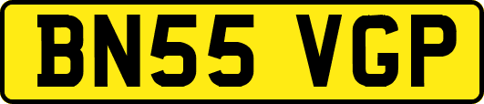 BN55VGP