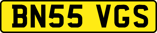 BN55VGS