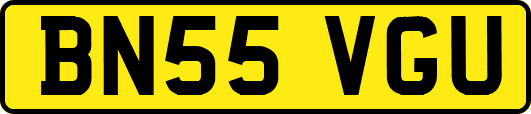 BN55VGU