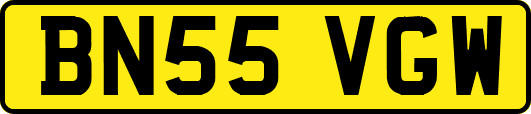 BN55VGW
