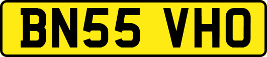 BN55VHO