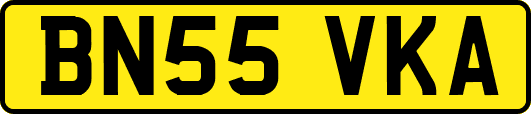 BN55VKA