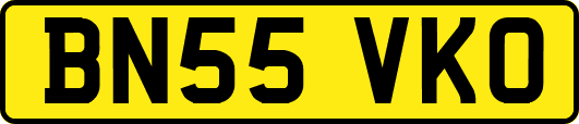 BN55VKO