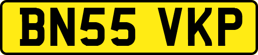 BN55VKP