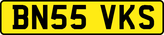 BN55VKS