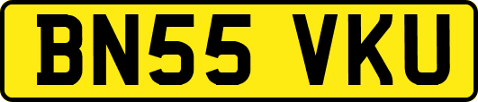 BN55VKU