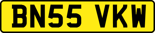 BN55VKW