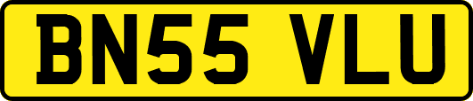 BN55VLU