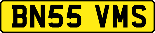 BN55VMS