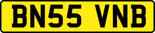 BN55VNB