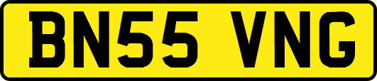 BN55VNG