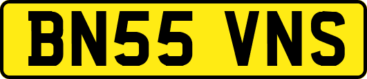 BN55VNS