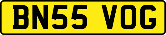BN55VOG