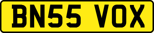 BN55VOX