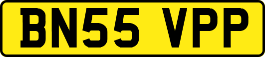 BN55VPP