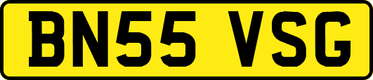 BN55VSG