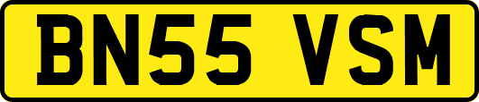 BN55VSM