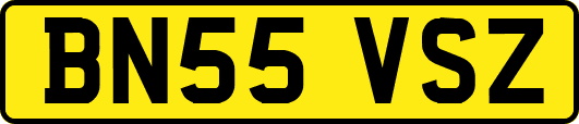 BN55VSZ
