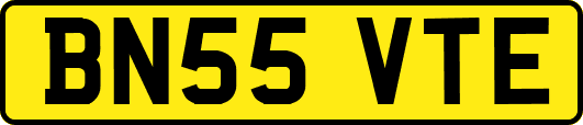 BN55VTE
