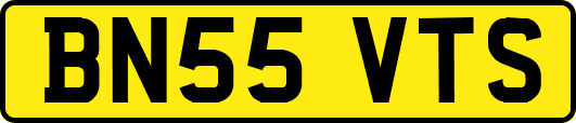 BN55VTS