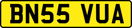 BN55VUA