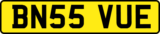 BN55VUE