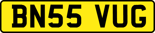 BN55VUG