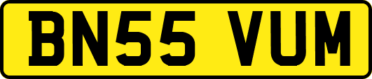 BN55VUM