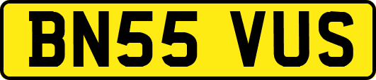 BN55VUS