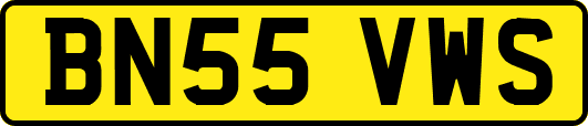 BN55VWS
