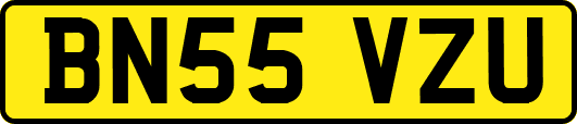 BN55VZU