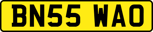 BN55WAO