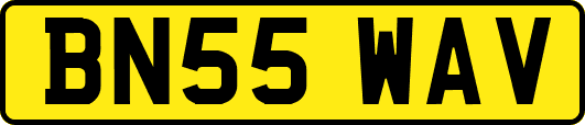 BN55WAV