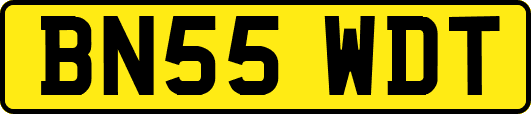 BN55WDT
